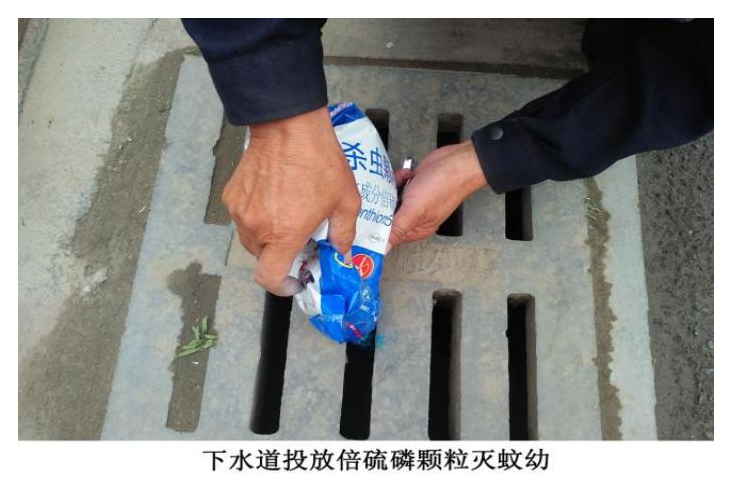 江苏苏州灭蟑螂、消毒、除四害、灭鼠、杀虫服务优质服务商推荐